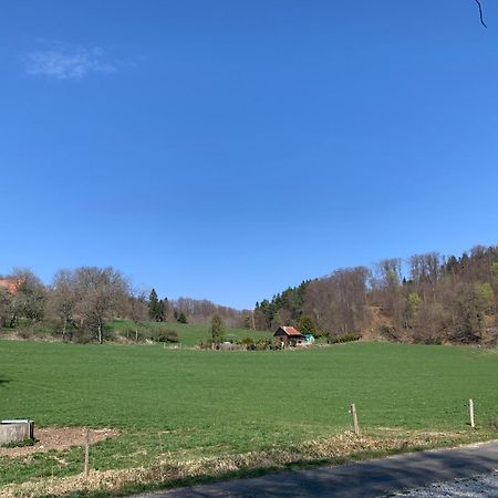 Hotel Restaurant Schwane Messstetten 外观 照片